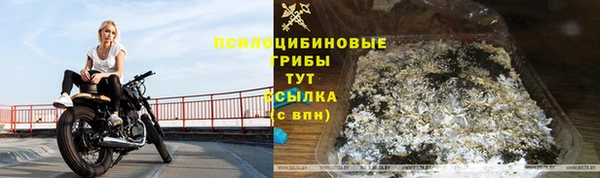 амф Алзамай