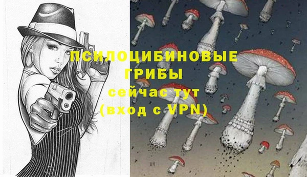 дмт Алексеевка