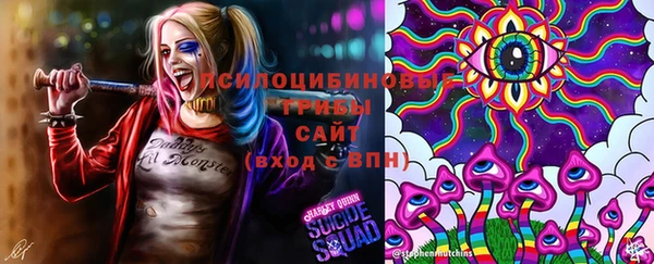 амф Алзамай