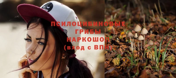 дмт Алексеевка