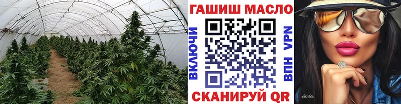 ТГК THC oil Томск